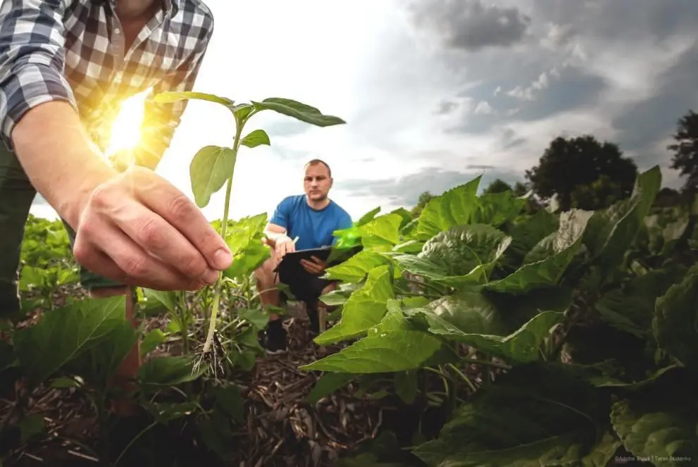 Agriculture and rural development web2
