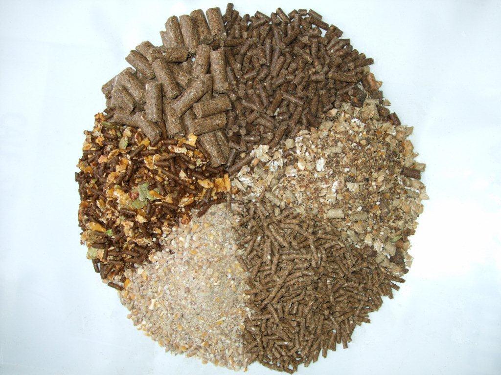 Animal feed t7j8ry